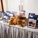 Photo by Lu Chau @Photagonist